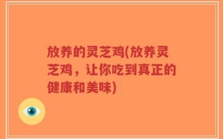 放养的灵芝鸡(放养灵芝鸡，让你吃到真正的健康和美味)