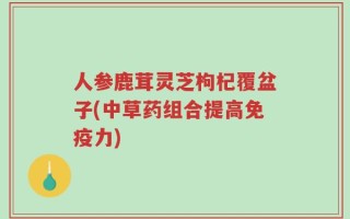人参鹿茸灵芝枸杞覆盆子(中草药组合提高免疫力)