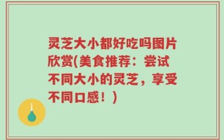 灵芝大小都好吃吗图片欣赏(美食推荐：尝试不同大小的灵芝，享受不同口感！)