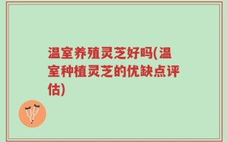 温室养殖灵芝好吗(温室种植灵芝的优缺点评估)