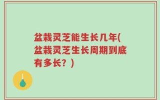 盆栽灵芝能生长几年(盆栽灵芝生长周期到底有多长？)