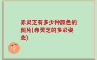 赤灵芝有多少种颜色的图片(赤灵芝的多彩姿态)
