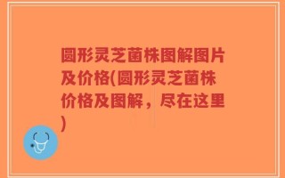 圆形灵芝菌株图解图片及价格(圆形灵芝菌株价格及图解，尽在这里)