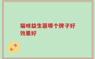 猫咪益生菌哪个牌子好效果好