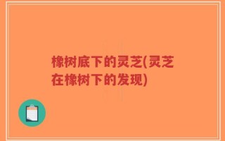 橡树底下的灵芝(灵芝在橡树下的发现)
