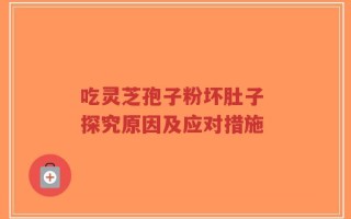 吃灵芝孢子粉坏肚子 探究原因及应对措施