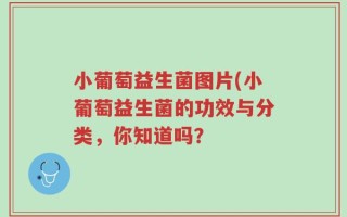 小葡萄益生菌图片(小葡萄益生菌的功效与分类，你知道吗？