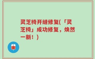 灵芝椅开缝修复(「灵芝椅」成功修复，焕然一新！)