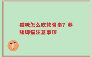 猫咪怎么吃软骨素？养矮脚猫注意事项
