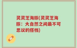 灵灵芝海豚(灵灵芝海豚：大自然之间最不可思议的搭档)