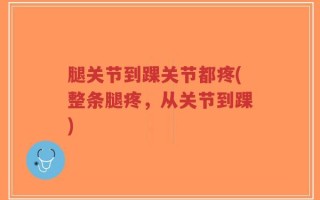 腿关节到踝关节都疼(整条腿疼，从关节到踝)