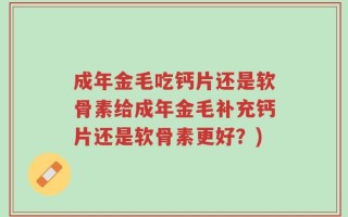 成年金毛吃钙片还是软骨素给成年金毛补充钙片还是软骨素更好？)