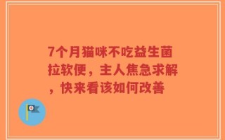 7个月猫咪不吃益生菌拉软便，主人焦急求解，快来看该如何改善