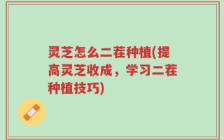 灵芝怎么二茬种植(提高灵芝收成，学习二茬种植技巧)
