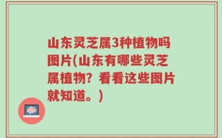 山东灵芝属3种植物吗图片(山东有哪些灵芝属植物？看看这些图片就知道。)