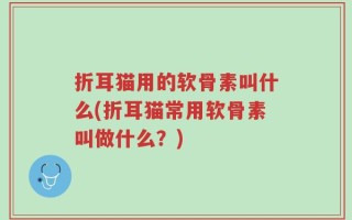 折耳猫用的软骨素叫什么(折耳猫常用软骨素叫做什么？)