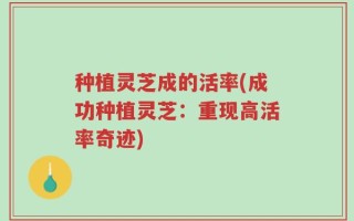 种植灵芝成的活率(成功种植灵芝：重现高活率奇迹)