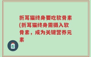 折耳猫终身要吃软骨素(折耳猫终身需摄入软骨素，成为关键营养元素