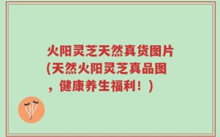 火阳灵芝天然真货图片(天然火阳灵芝真品图，健康养生福利！)