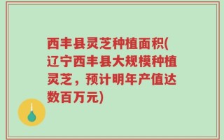 西丰县灵芝种植面积(辽宁西丰县大规模种植灵芝，预计明年产值达数百万元)