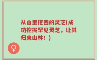 从山里挖回的灵芝(成功挖掘罕见灵芝，让其归来山林！)