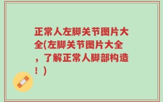正常人左脚关节图片大全(左脚关节图片大全，了解正常人脚部构造！)