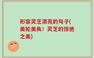 形容灵芝漂亮的句子(美轮美奂！灵芝的惊艳之美)