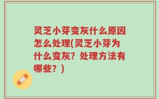 灵芝小芽变灰什么原因怎么处理(灵芝小芽为什么变灰？处理方法有哪些？)