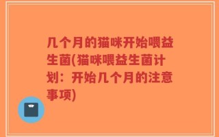 几个月的猫咪开始喂益生菌(猫咪喂益生菌计划：开始几个月的注意事项)