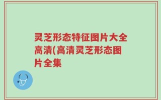 灵芝形态特征图片大全高清(高清灵芝形态图片全集