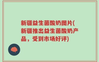 新疆益生菌酸奶图片(新疆推出益生菌酸奶产品，受到市场好评)
