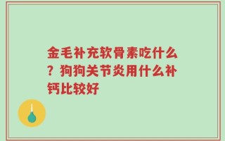 金毛补充软骨素吃什么？狗狗关节炎用什么补钙比较好