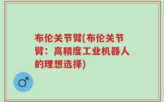 布伦关节臂(布伦关节臂：高精度工业机器人的理想选择)