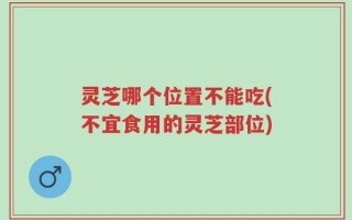 灵芝哪个位置不能吃(不宜食用的灵芝部位)