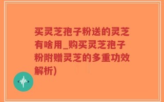 买灵芝孢子粉送的灵芝有啥用_购买灵芝孢子粉附赠灵芝的多重功效解析)