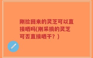 刚捡回来的灵芝可以直接晒吗(刚采摘的灵芝可否直接晒干？)