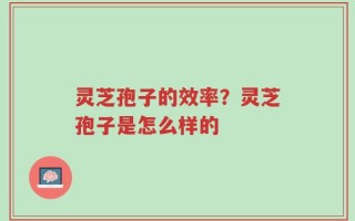 灵芝孢子的效率？灵芝孢子是怎么样的