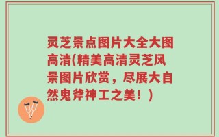 灵芝景点图片大全大图高清(精美高清灵芝风景图片欣赏，尽展大自然鬼斧神工之美！)