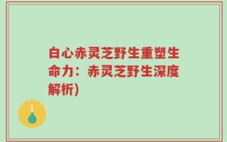 白心赤灵芝野生重塑生命力：赤灵芝野生深度解析)
