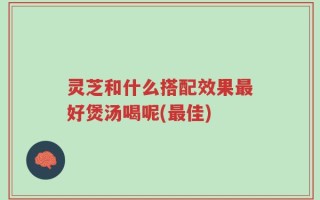 灵芝和什么搭配效果最好煲汤喝呢(最佳)