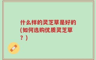 什么样的灵芝草是好的(如何选购优质灵芝草？)