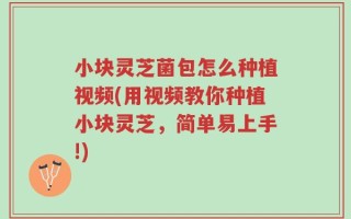 小块灵芝菌包怎么种植视频(用视频教你种植小块灵芝，简单易上手!)