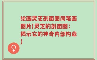 绘画灵芝剖面图简笔画图片(灵芝的剖面图：揭示它的神奇内部构造)