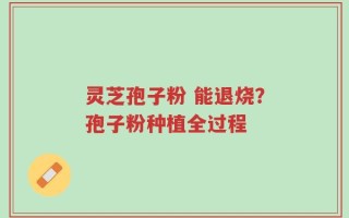 灵芝孢子粉 能退烧？孢子粉种植全过程