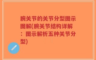 腕关节的关节分型图示图解(腕关节结构详解：图示解析五种关节分型)