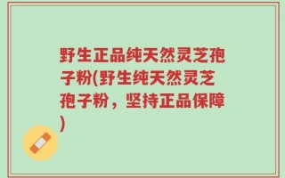野生正品纯天然灵芝孢子粉(野生纯天然灵芝孢子粉，坚持正品保障)