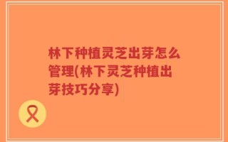 林下种植灵芝出芽怎么管理(林下灵芝种植出芽技巧分享)