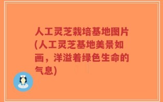 人工灵芝栽培基地图片(人工灵芝基地美景如画，洋溢着绿色生命的气息)