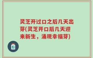 灵芝开过口之后几天出芽(灵芝开口后几天迎来新生，涌现幸福芽)