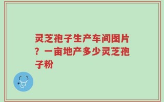 灵芝孢子生产车间图片？一亩地产多少灵芝孢子粉